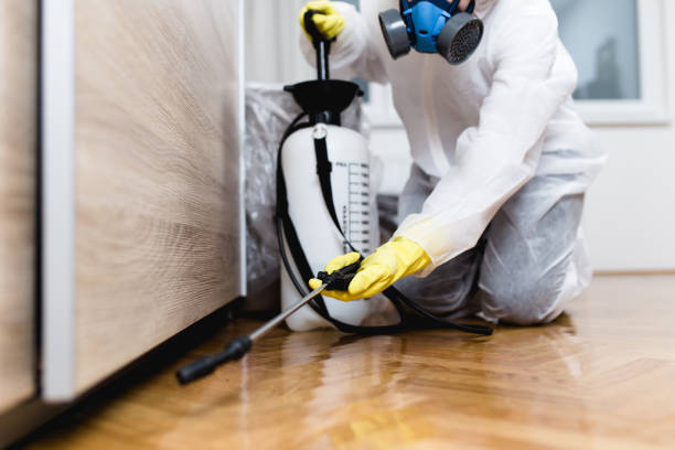 Best Mosquito Control Services  in Latrobe, PA