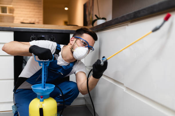 Best Emergency Pest Control  in Latrobe, PA