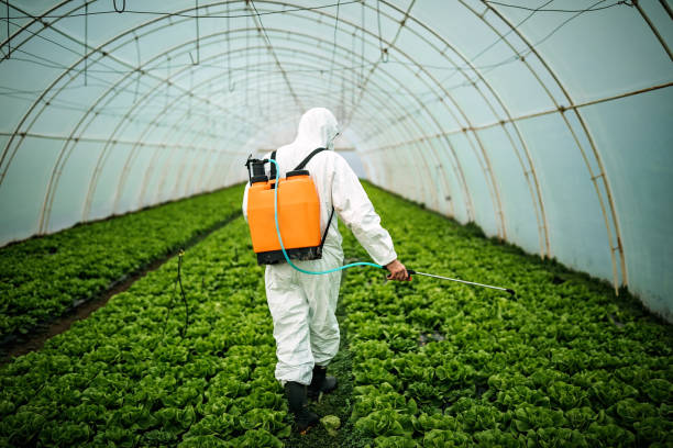 Best Ant Control Services  in Latrobe, PA