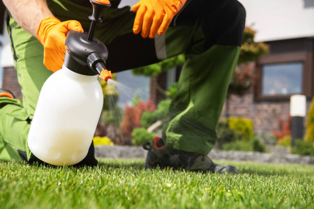Best Commercial Pest Control Services  in Latrobe, PA