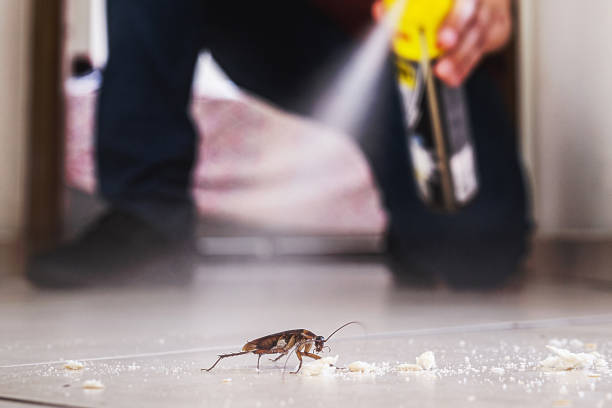 Professional Pest Control in Latrobe, PA