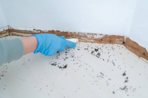 Best Best Pest Control Companies  in Latrobe, PA