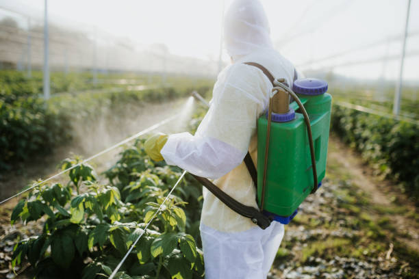 Flea Control Services in Latrobe, PA